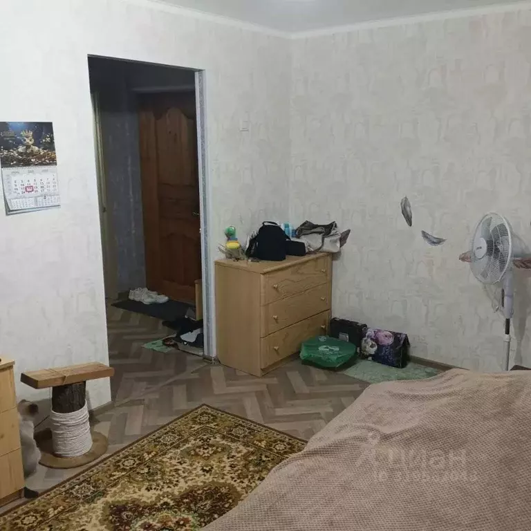 Комната Ростовская область, Белая Калитва Светлая ул., 4 (16.0 м) - Фото 1