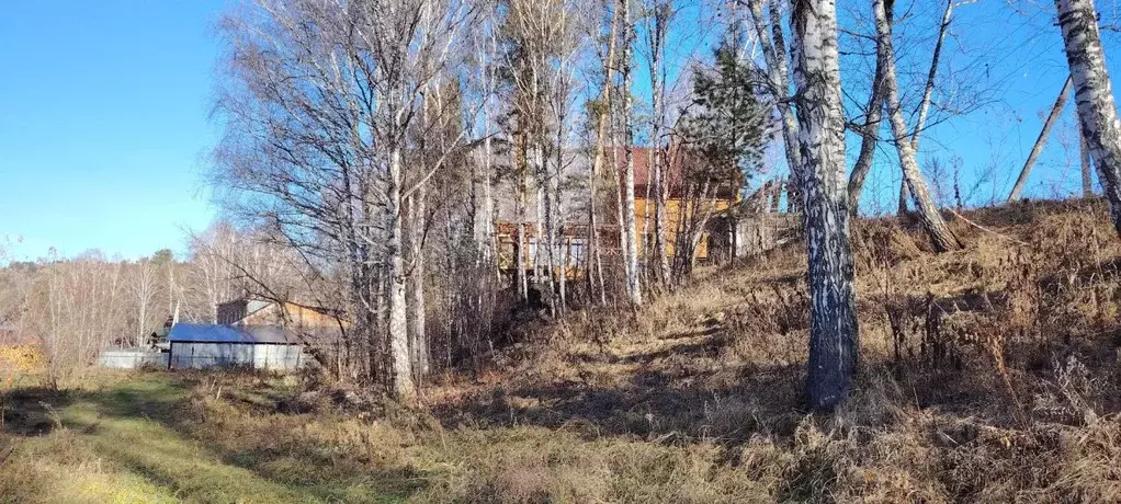 Участок в Алтай, Майминский район, Соузгинское с/пос, Катунь ДНП  (8.0 ... - Фото 2