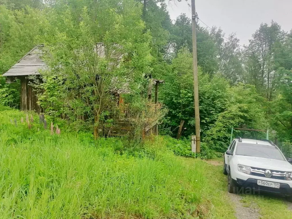 Участок в Пермский край, Пермь Ягодка СНТ, 47 (6.0 сот.) - Фото 2