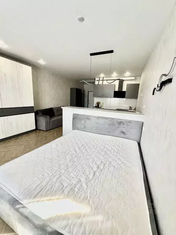 Студия Краснодарский край, Сочи городской округ, Дагомыс пгт ш. ... - Фото 2