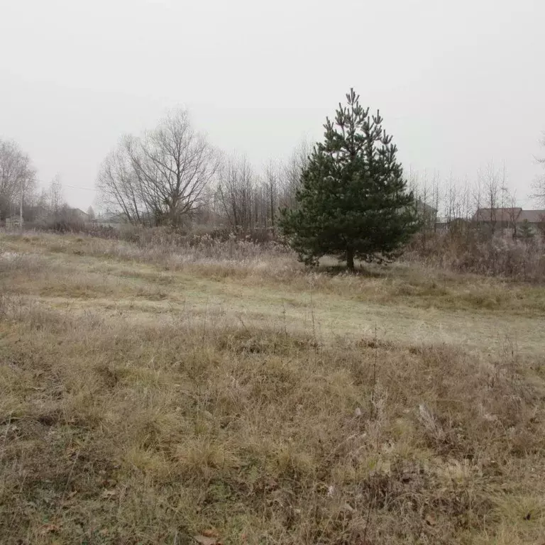 Участок в Московская область, Коломна городской округ, с. Нижнее ... - Фото 0