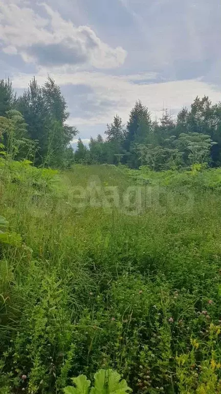 Участок 10 сот. (личное подсобное хозяйство (лпх)) - Фото 1