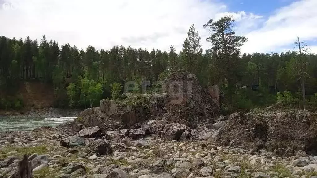 Участок в Чемальский район, Чемальский тракт (88.66 м) - Фото 2