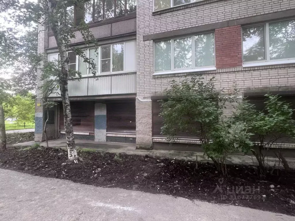 Помещение свободного назначения в Санкт-Петербург Дачный просп., 16К6 ... - Фото 0