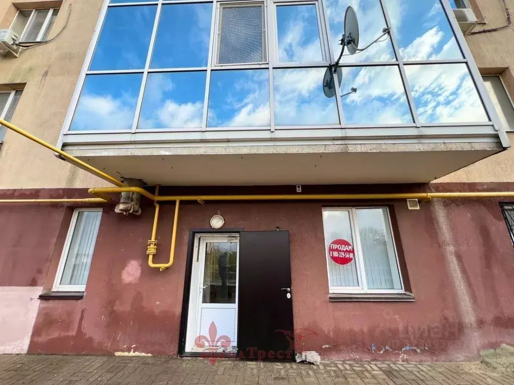 Помещение свободного назначения в Белгородская область, Белгород ул. ... - Фото 2