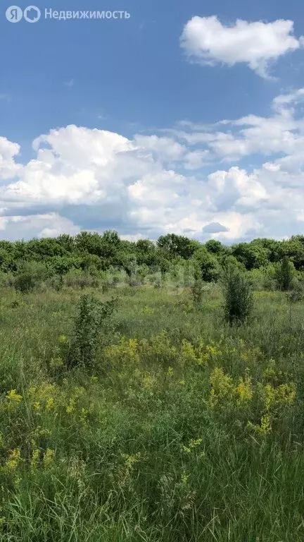 Участок в Воронежская область, Семилуки (89.4 м) - Фото 1