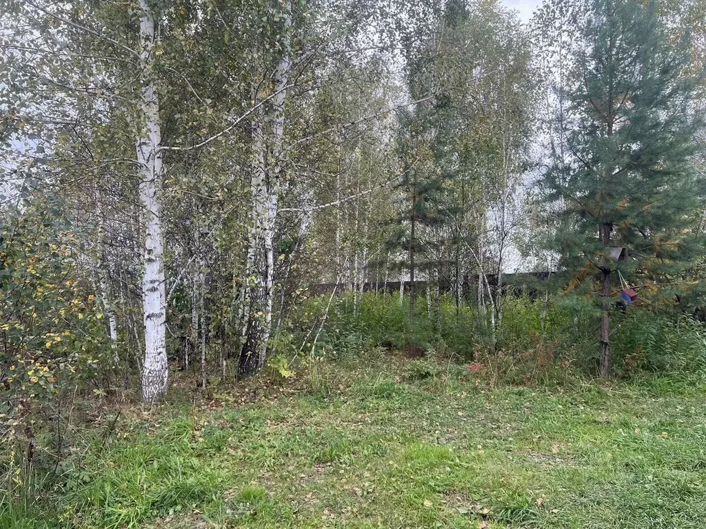 Участок в Новосибирская область, Новосибирский район, Новолуговской ... - Фото 1