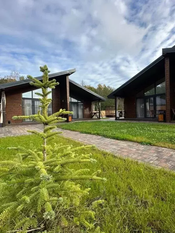 Дом в Калининградская область, Светлогорск Радуга СНТ, ул. Северная ... - Фото 2