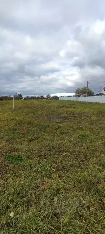 Участок в Нижегородская область, Богородский муниципальный округ, с. ... - Фото 1