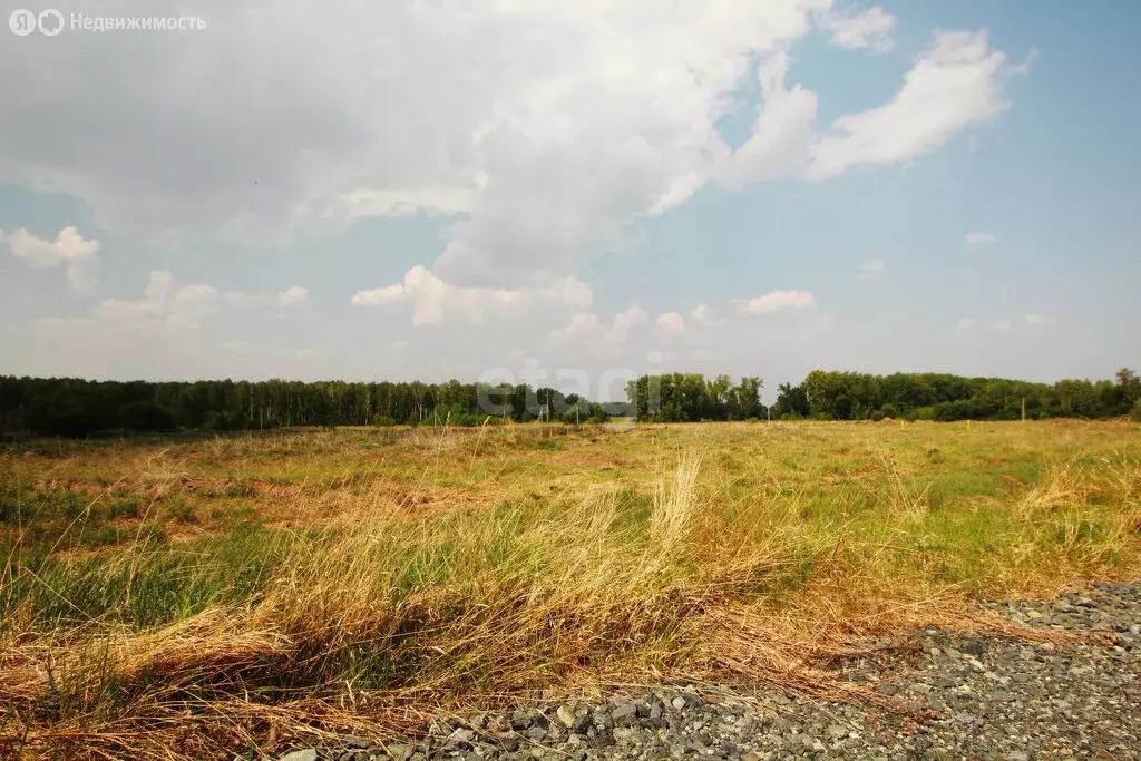 Участок в Тюменская область, Ялуторовский муниципальный округ, село ... - Фото 2