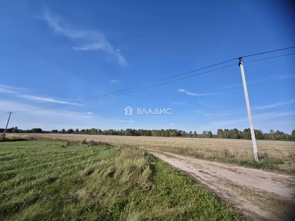 Участок в Владимирская область, Судогодский район, д. Конюшино 17 ... - Фото 2