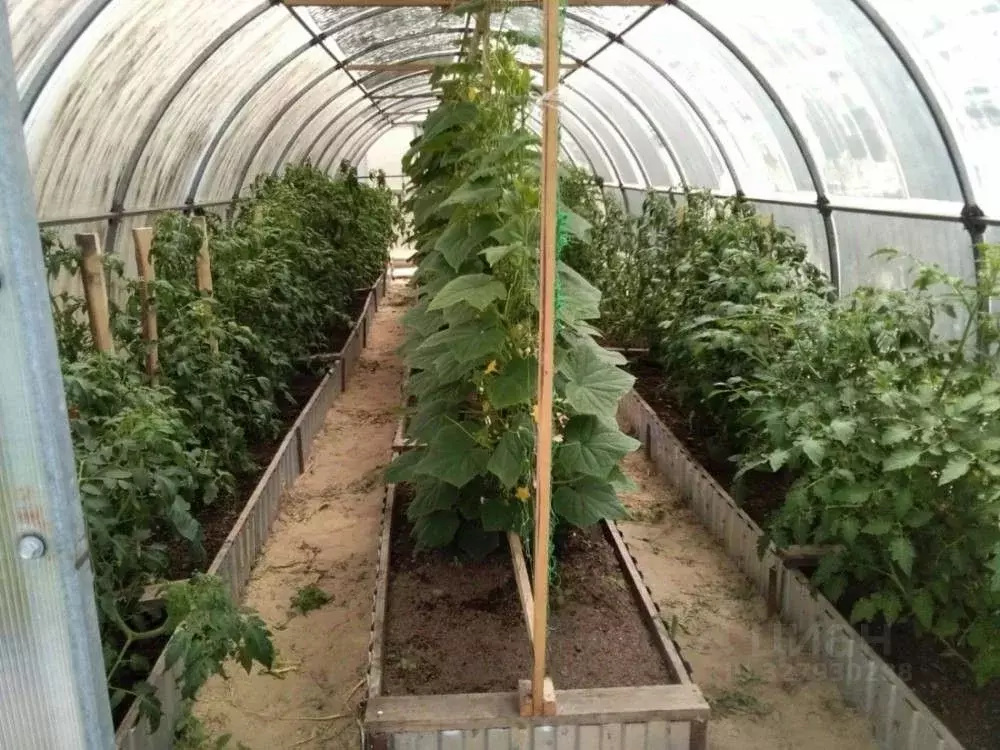 Участок в Самарская область, Шигонский район, с. Суринск Советская ул. ... - Фото 2