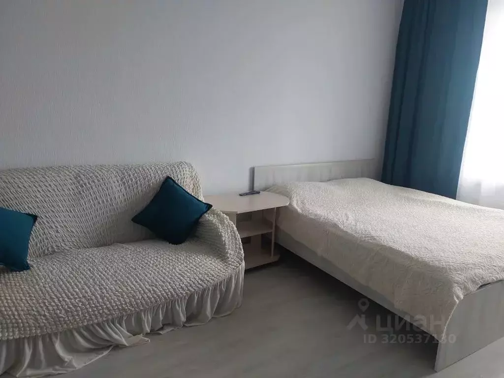 Студия Псковская область, Псковский район, Завеличенская волость, д. ... - Фото 1