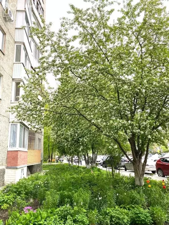 1-комнатная квартира: Тюмень, улица 30 лет Победы, 46 (34.3 м) - Фото 0