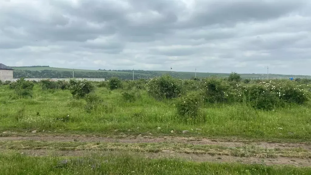 Участок в Кабардино-Балкария, Чегемский район, с. Лечинкай ул. ... - Фото 0