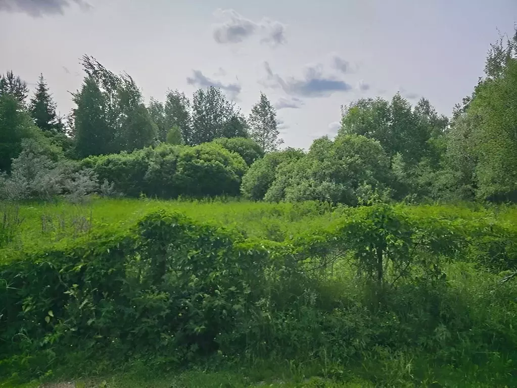 Участок в Московская область, Пушкинский городской округ, ... - Фото 2