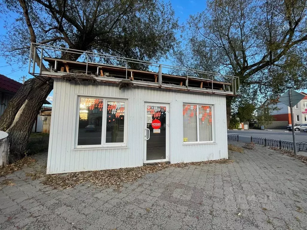 Помещение свободного назначения в Белгородская область, Волоконовка рп ... - Фото 2