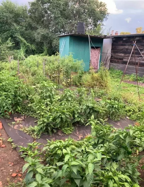 Участок в Амурская область, Благовещенск Новая ул., 63 (6.0 сот.) - Фото 0