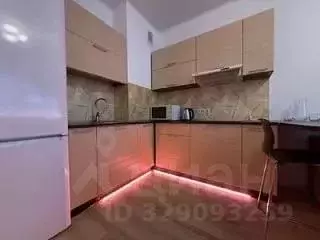 Студия Свердловская область, Екатеринбург ул. Степана Разина, 2 (32.4 ... - Фото 1