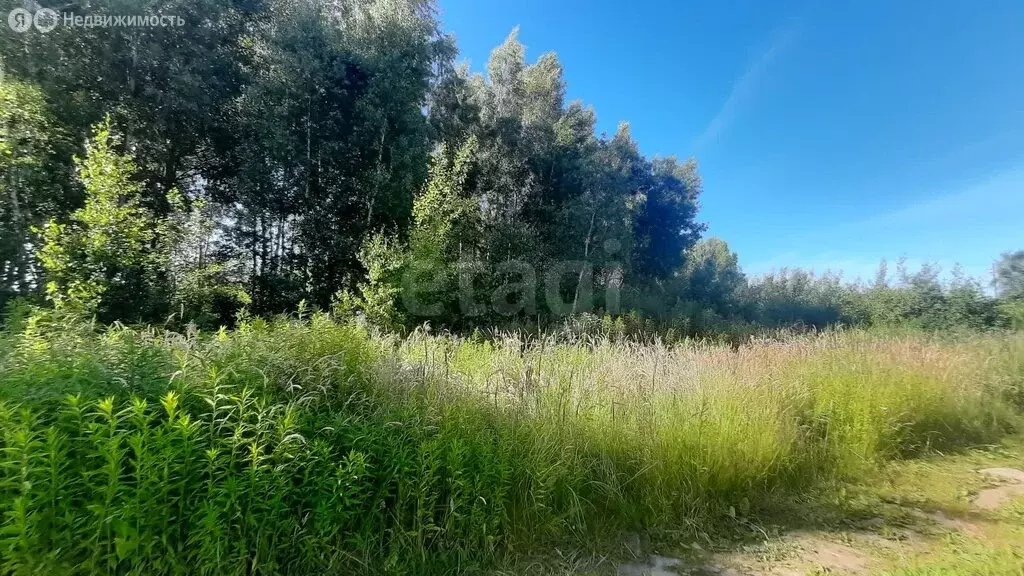 Участок в Луговое, Нивенская улица (6.5 м) - Фото 1