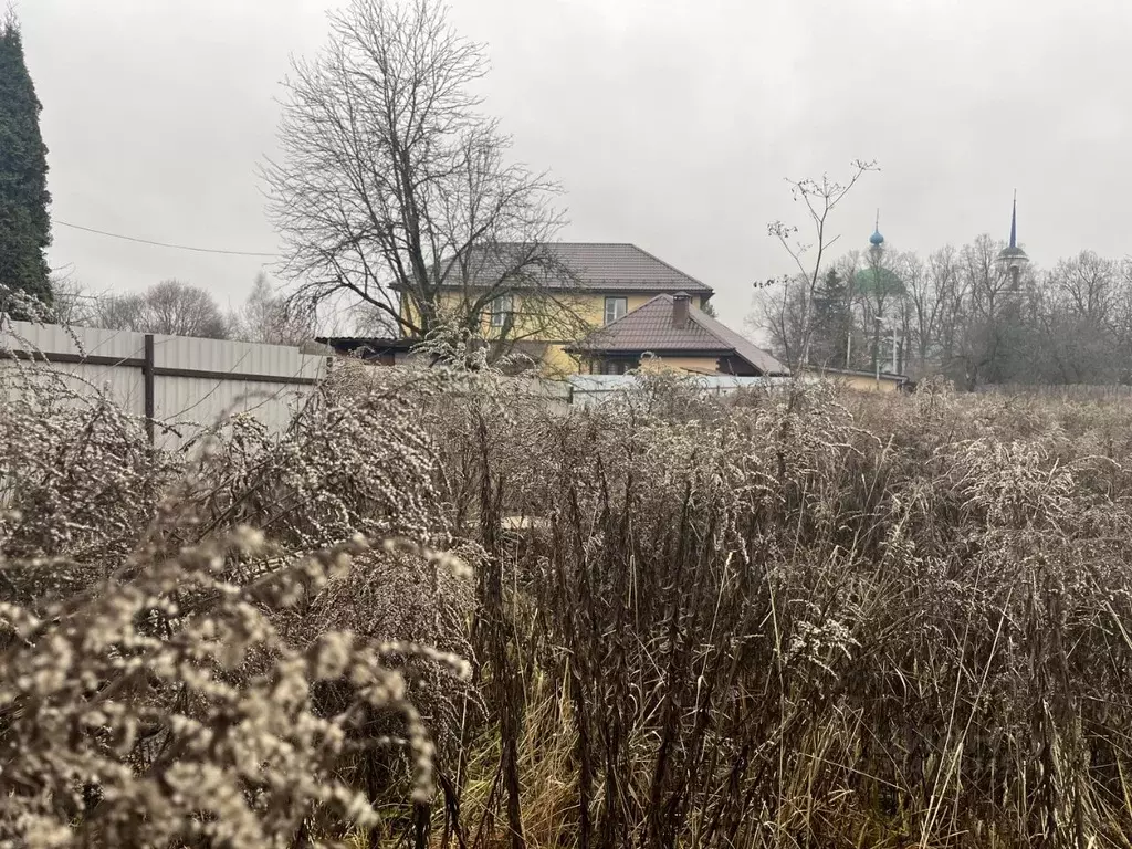 Участок в Калужская область, Боровск с. Рябушки, ул. Пугачева (8.7 ... - Фото 2