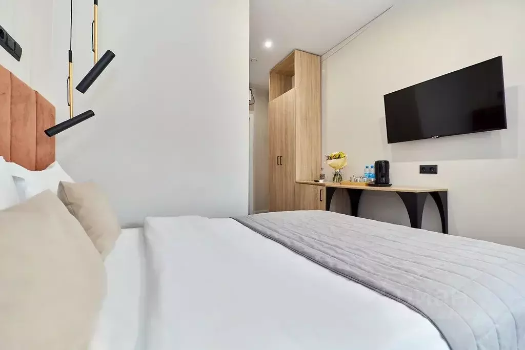 Комната Санкт-Петербург Владимирский просп., 1/47 - Фото 2