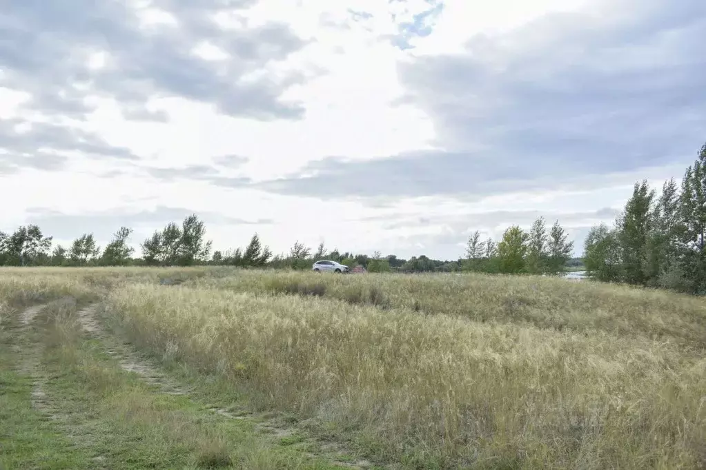 Участок в Оренбургская область, Илекский район, с. Кардаилово  (10.0 ... - Фото 0