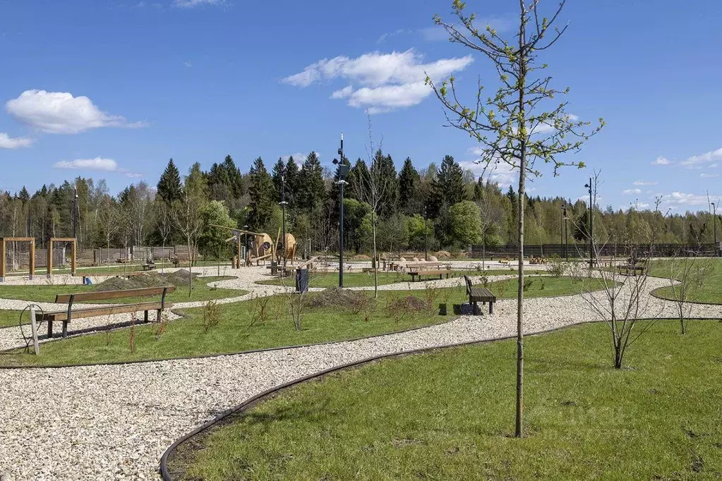 Участок, 7 сот., сельхоз (снт или днп) - Фото 1