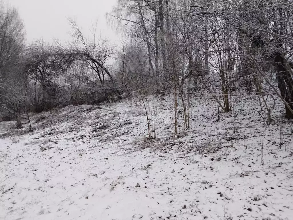 Участок в Брянская область, Брянский район, Глинищевское с/пос, с. ... - Фото 1