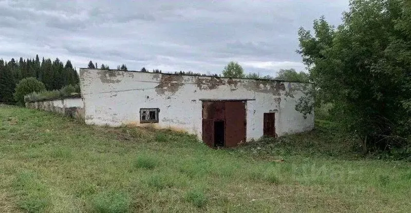 Помещение свободного назначения в Удмуртия, Малопургинский район, с. ... - Фото 0