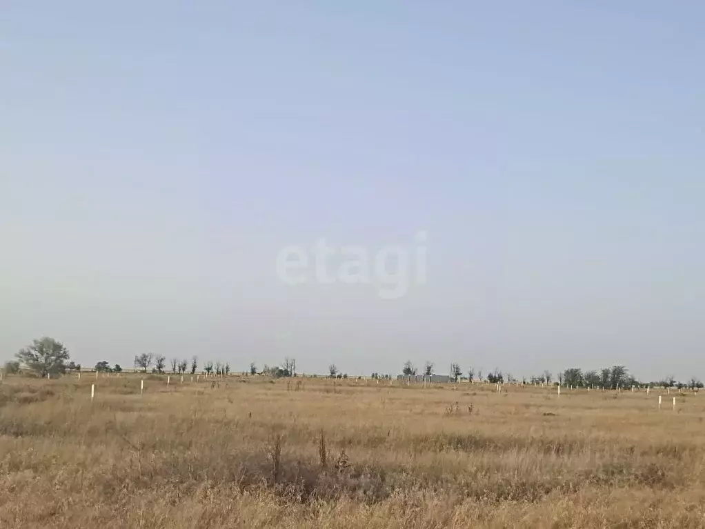 Участок в Крым, Сакский район, с. Штормовое ул. Интернациональная ... - Фото 1