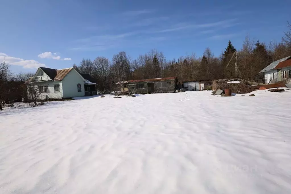 Участок в Московская область, Одинцовский городской округ, д. Митькино ... - Фото 1