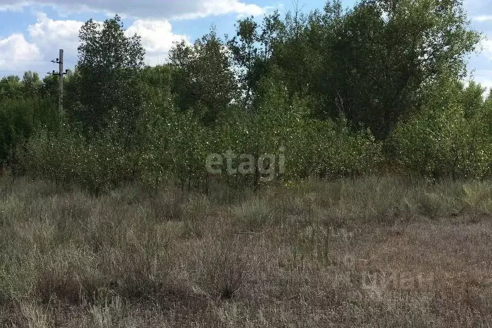 Участок в Волгоградская область, Среднеахтубинский район, Клетское ... - Фото 1