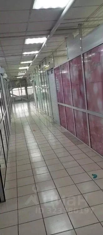 Помещение свободного назначения в Иркутская область, Черемхово ул. ... - Фото 2