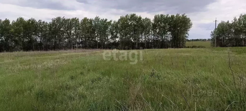 Участок в Белгородская область, Волоконовский район, с. Волчья ... - Фото 1