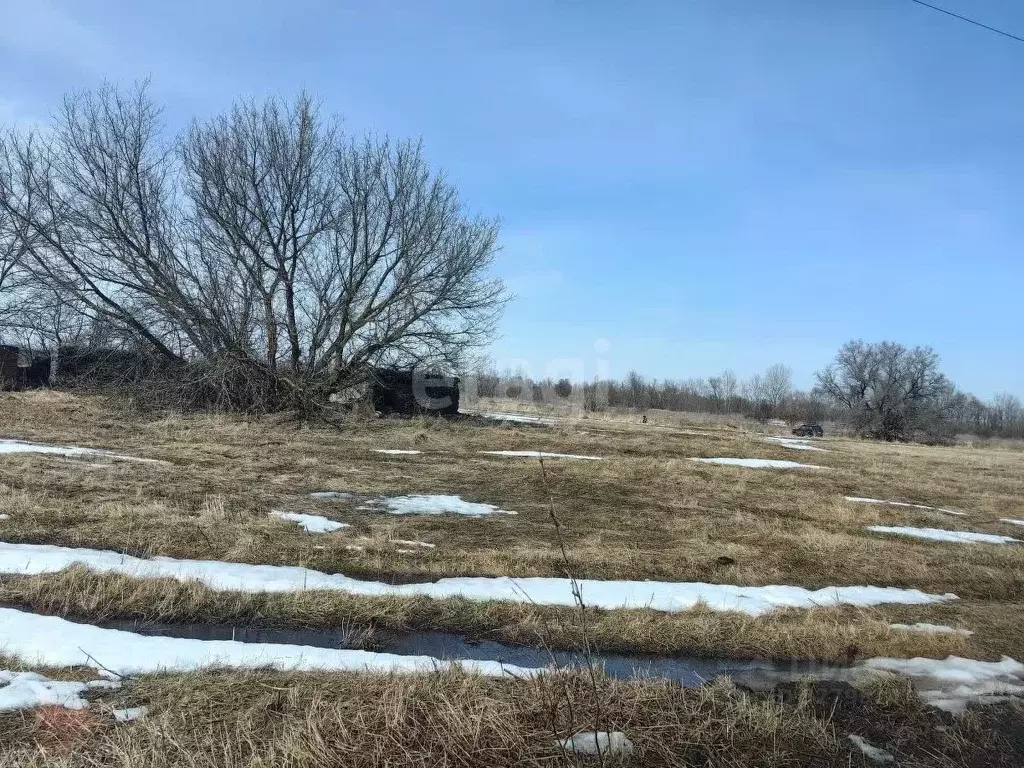 Участок в Воронежская область, Каширский район, Дзержинское с/пос, ... - Фото 1