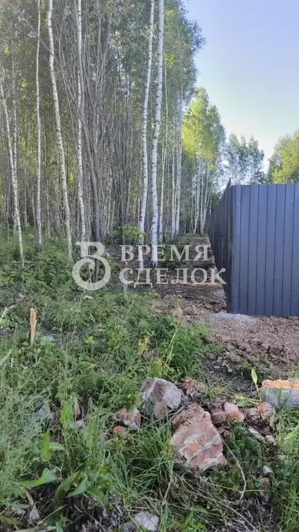 Участок в Владимирская область, Владимир Пиганово мкр,  (10.03 сот.) - Фото 0