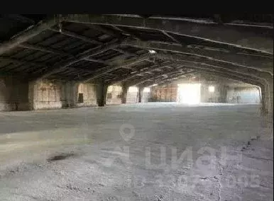 Склад в Московская область, Ступино городской округ, с. Куртино ул. ... - Фото 1