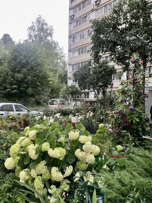 2-к. квартира, 53,5 м, 8/12 эт. - Фото 1