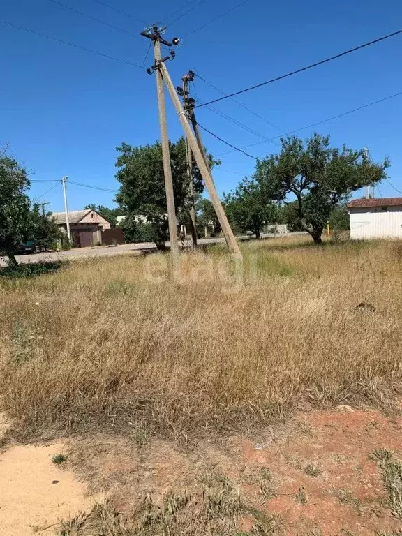 Участок в Крым, Черноморский район, с. Новосельское ул. Пионерская, ... - Фото 1