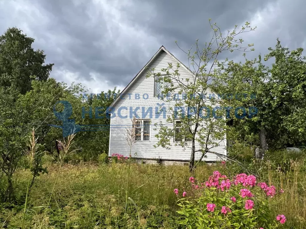 Дом в Ленинградская область, Выборгский район, Рощино пгт, Родник СНТ ... - Фото 0