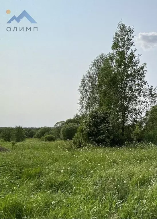 Участок в Ярославская область, Ярославский район, Кузнечихинское ... - Фото 0