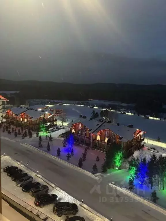 1-к кв. Челябинская область, Миасский городской округ, с. Сыростан ул. ... - Фото 1