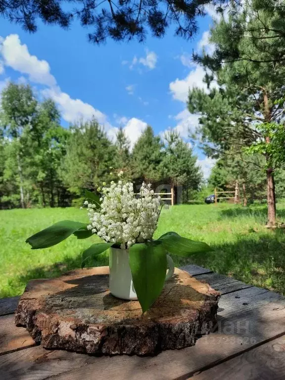 Участок в Калужская область, Перемышльский район, Большие Козлы с/пос, ... - Фото 0