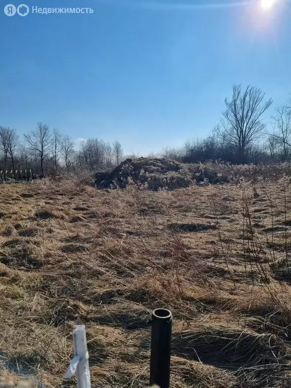 Участок в Калининградская область, Гурьевский муниципальный округ, ТСН ... - Фото 2
