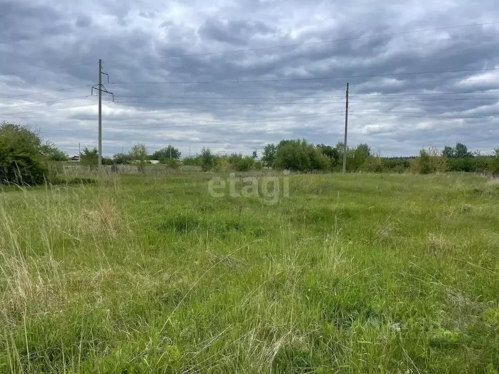 Участок в Воронежская область, Воронеж ул. Смородиновая (21.4 сот.) - Фото 1