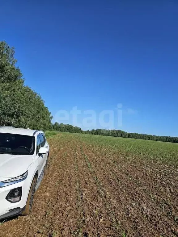 Участок в Калужская область, Боровский муниципальный округ, ... - Фото 2