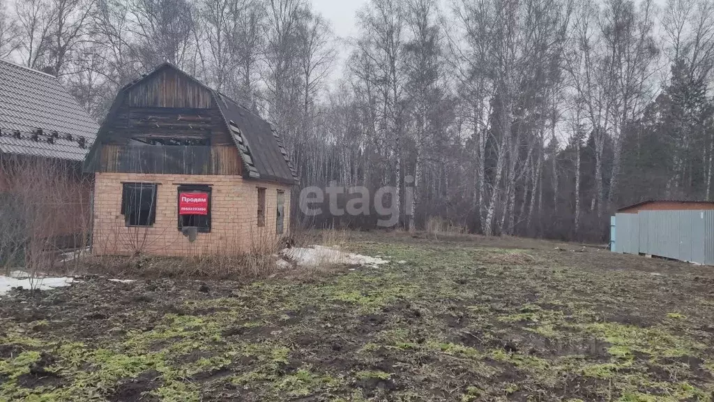 Дом в Новосибирская область, Бердск Ветеран садовое товарищество, 191 ... - Фото 0