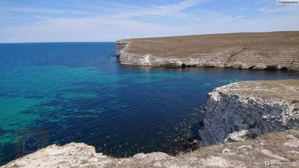 Участок в Крым, Черноморский район, Оленевское с/пос, с. Оленевка 2с1 ... - Фото 2