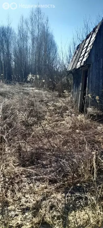 Участок в Нижегородская область, Бор (6 м) - Фото 1